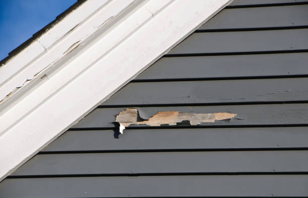 Best Vinyl Siding Installation  in Santa Clara, UT